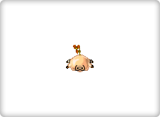 Nosie