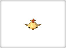 Chicoe